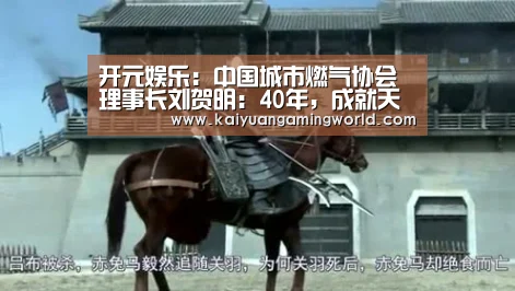 开元娱乐:中国城市燃气协会理事长刘贺明:40年,成就天然气消费大国(图2) 开元娱乐