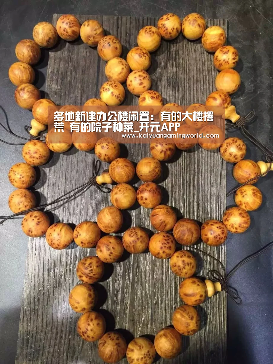 多地新建办公楼闲置:有的大楼撂荒 有的院子种菜_开元APP(图1) 开元APP