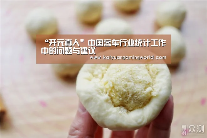 “开元真人”中国客车行业统计工作中的问题与建议(图1) 开元APP