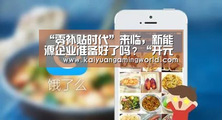 “零补贴时代”来临,新能源企业准备好了吗?“开元APP”(图4) 开元真人