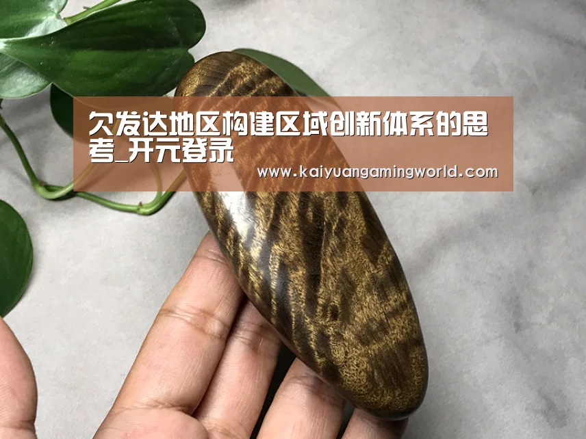 欠发达地区构建区域创新体系的思考_开元登录(图4) 开元真人