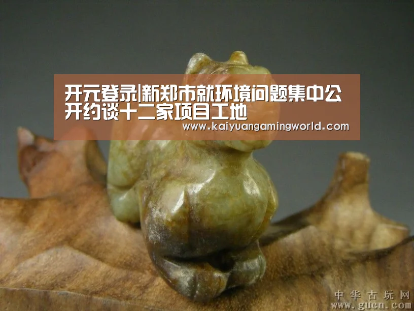 开元登录|新郑市就环境问题集中公开约谈十二家项目工地(图3) 开元登录