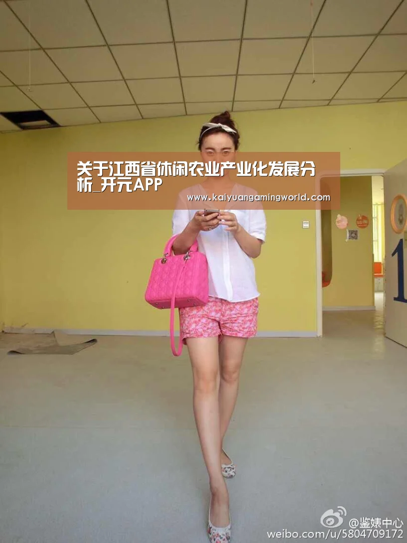 关于江西省休闲农业产业化发展分析_开元APP(图3) 开元娱乐