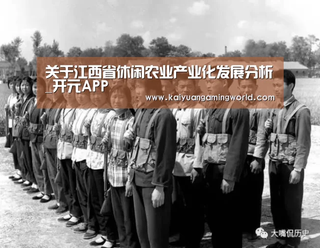 关于江西省休闲农业产业化发展分析_开元APP(图2) 开元娱乐