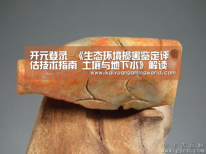 开元登录-《生态环境损害鉴定评估技术指南 土壤与地下水》解读 损害与损害价值,拿什么量?(图1) 开元真人